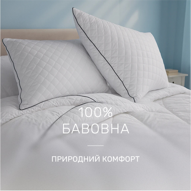  Набор антиаллергенный №9590 "Royal" Ecosilk Деми (Одеяло + подушка) - 2