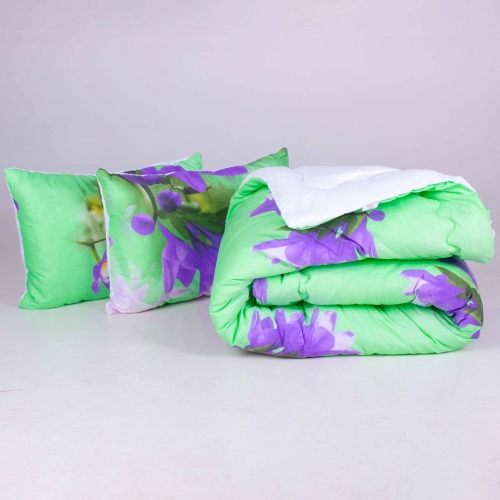 Набор антиаллергенный EcoSilk Зима №5531 Print Line Dancer (одеяло + 2 подушки средние)