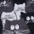 Night cats