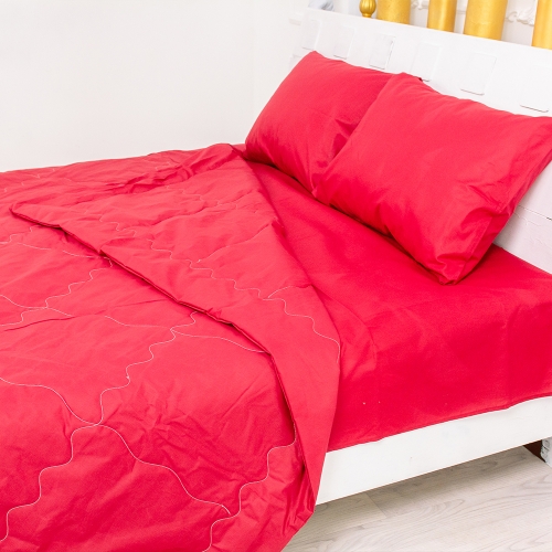 Летний постельный комплект №2425 Thinsulate 19-1655 Edmonda (одеяло + наволочки + простынь)