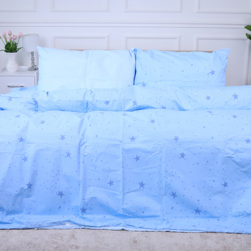 Комплект постельного белья Ranforce Elite 17-4748 Star trek