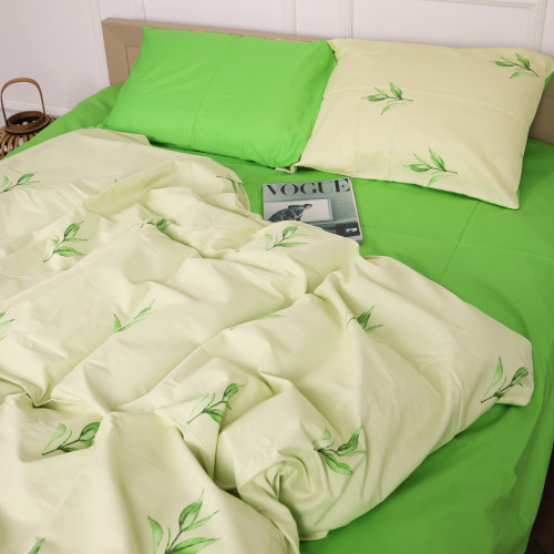 Комплект постельного белья Сатин 22-1367 Isaac - 2