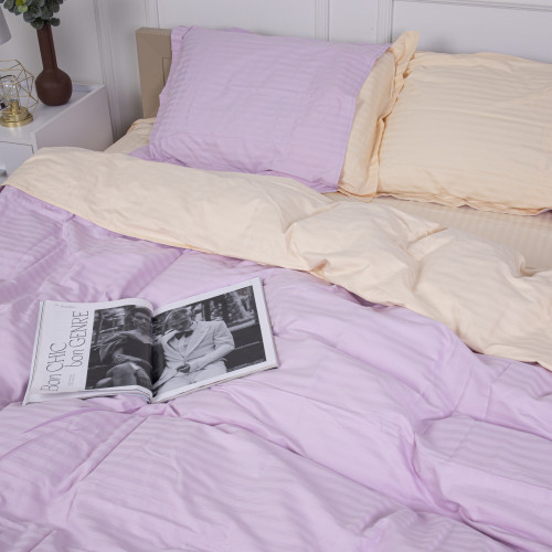 Постельное белье Satin Stripe 30-0007 + 30-0004 Evanjalin