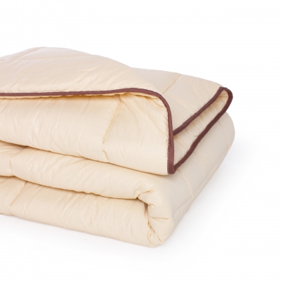 Одеяло антиаллергенное с Eco-Soft Деми 