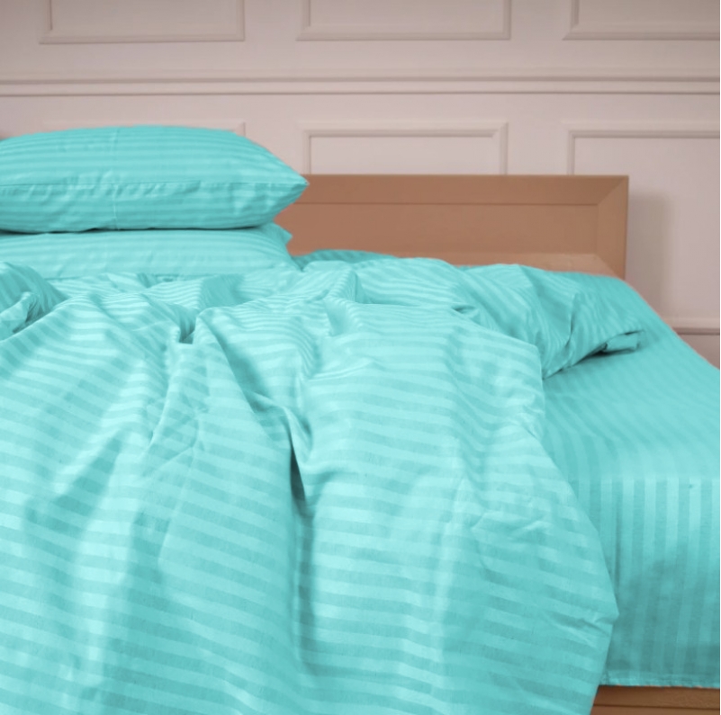 Комплект постільної білизни Cotton Twill 55-0012 Cyan - 4