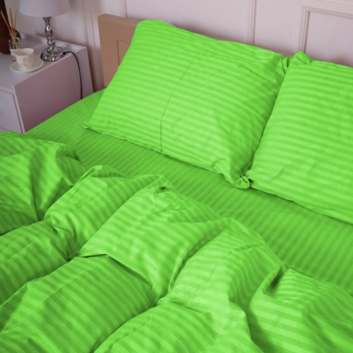 Комплект постільної білизни Cotton Twill 55-0013 Spring Green - 2