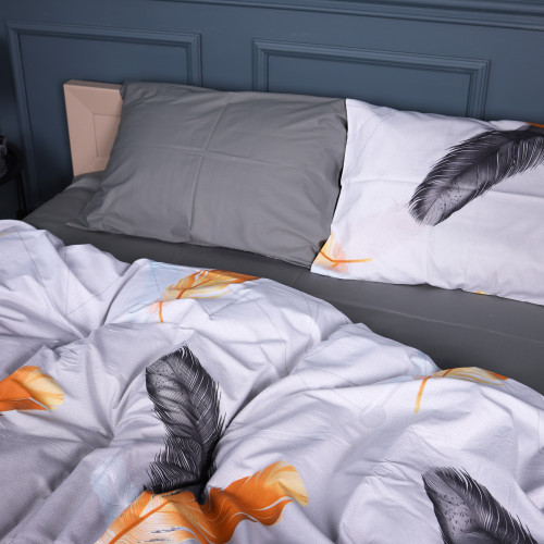 Комплект постільної білизни Сатин 22-1381 Black and Feathered - 2