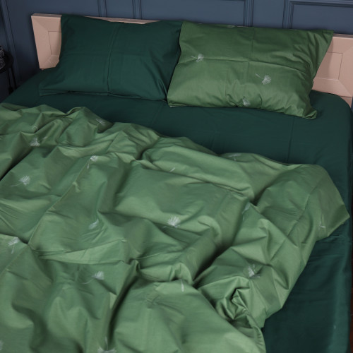 Комплект постельного белья Сатин 22-1392 Dandelion Magic