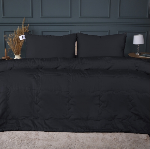 Літній постільний комплект №2959 Line Satin Light Pro 10-006 Black 