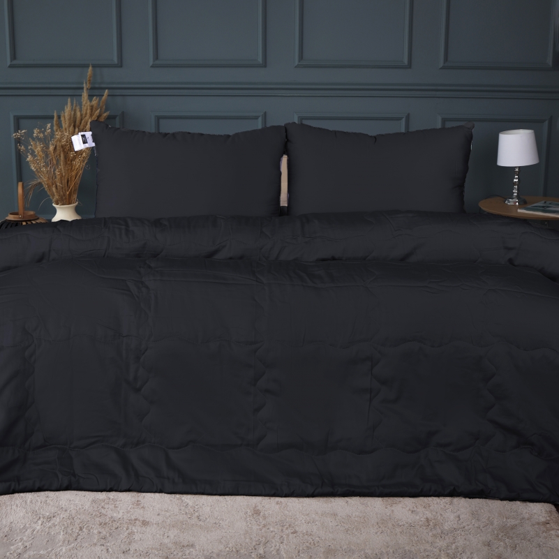 Літній постільний комплект №2965 Line Satin Light Pro 10-006 Black "Modal" (ковдра + 2 наволочки)