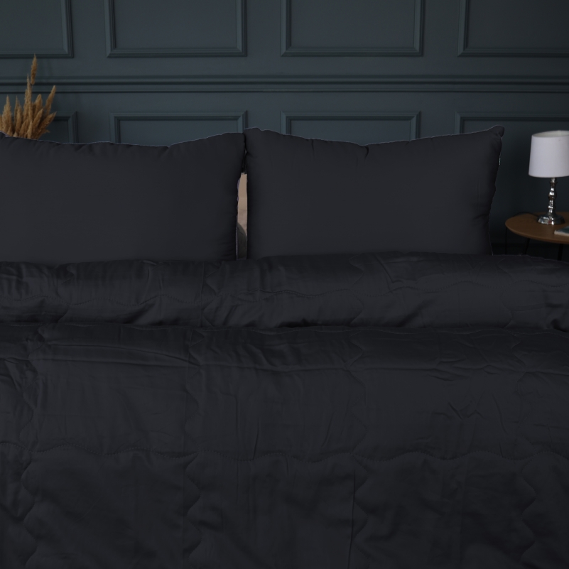 Літній постільний комплект №2965 Line Satin Light Pro 10-006 Black "Modal" (ковдра + 2 наволочки) - 2