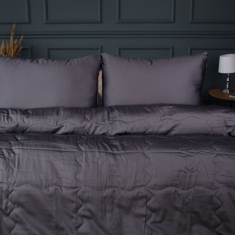 Літній постільний комплект №2990 Line Satin Premium 0240 Iron grey "Modal" (ковдра + 2 наволочки) - 1