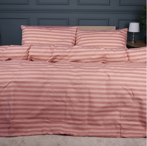Комплект постельного белья Ranforce Elite 17-0773 Nude stripes
