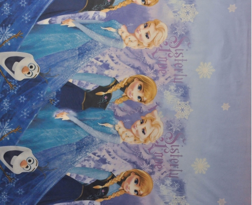 Комплект постельного белья Бязь 17-0424 Frozen