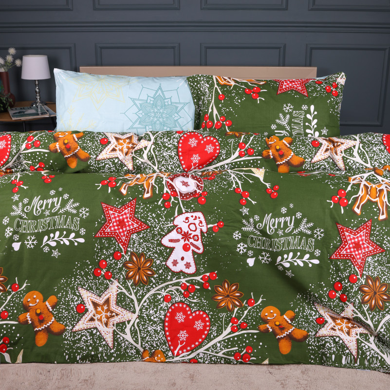 Комплект постельного белья Ranforce Elite 17-0881 Holiday Star green