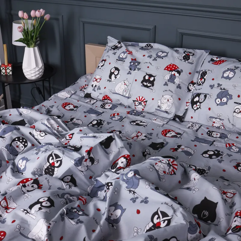 Комплект постільної білизни Ranforce Elite JUNIOR 17-0672 Silver Owlets - 1