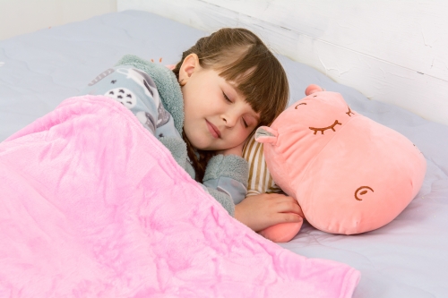 Плед+подушка дитячі №1062 Hippopotamus Pink