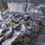 Faultline