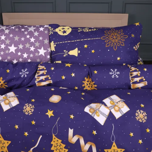 Комплект постельного белья Ranforce Elite TEENAGER 17-0877 Midnight Christmas - 2