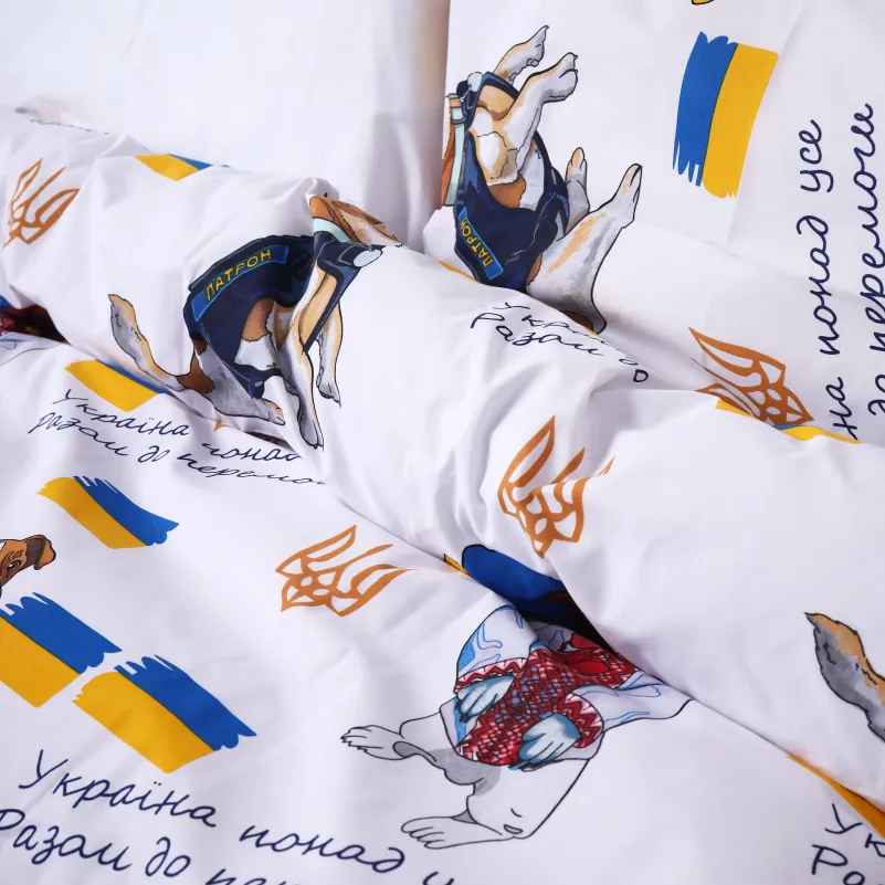 Комплект постельного белья Ranforce Elite TEENAGER 17-0595 "Пес патрон" - 2