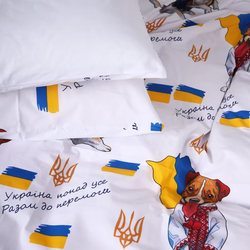 Комплект постельного белья Ranforce Elite TEENAGER 17-0595 "Пес патрон" - 5
