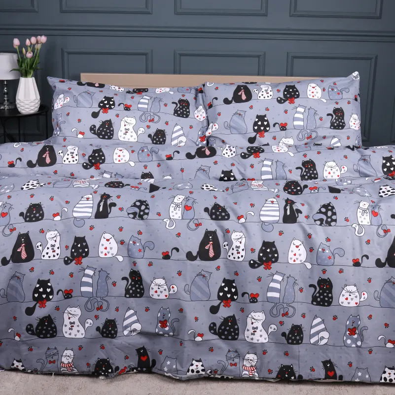 Комплект постельного белья Ranforce Elite TEENAGER 17-0671 With Love, Cats