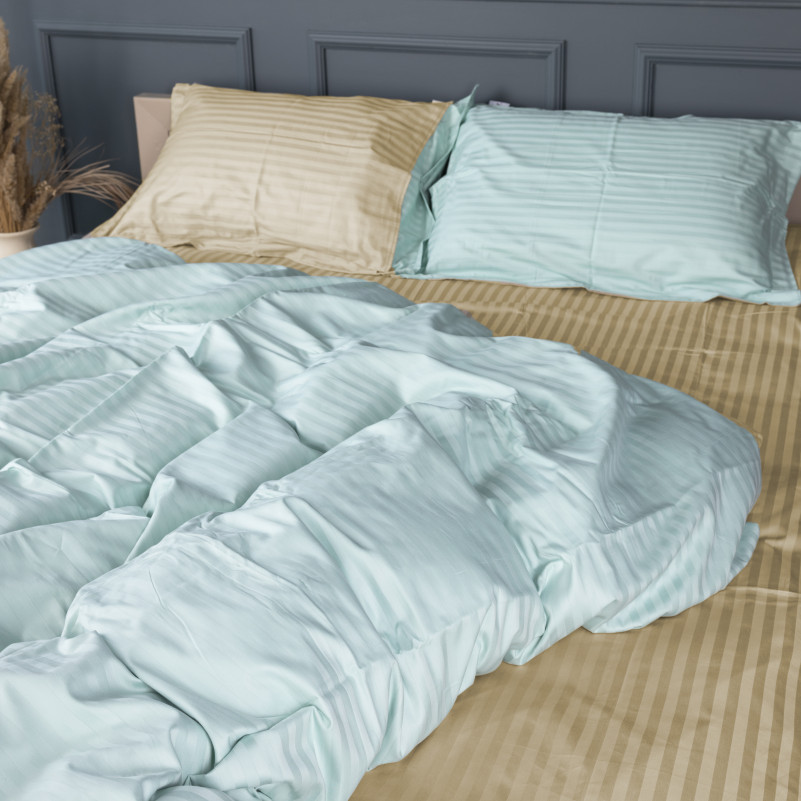 Комплект постельного белья Сатин TEENAGER Satin Stripe 30-0013 + 30-0002 Sensuous