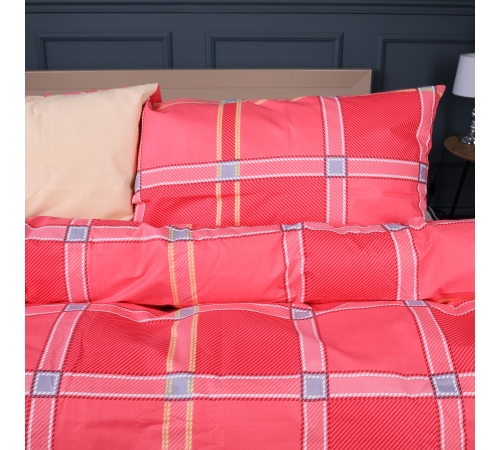 Пододеяльник Бязь 17-0783 Checkered Flame
