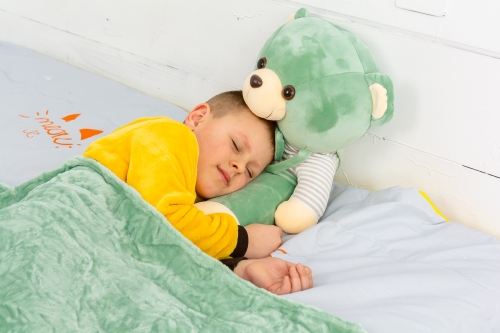 Плед+подушка детские №1050 Bear Green