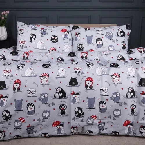 Комплект постельного белья Ranforce Elite TEENAGER 17-0672 Silver Owlets