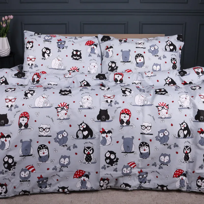 Комплект постельного белья Ranforce Elite TEENAGER 17-0672 Silver Owlets