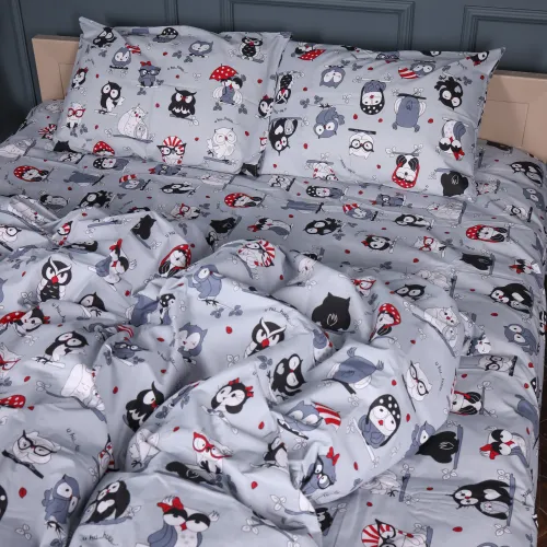 Комплект постельного белья Бязь JUNIOR 17-0672 Silver Owlets