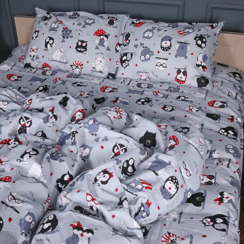 Комплект постельного белья Бязь JUNIOR 17-0672 Silver Owlets