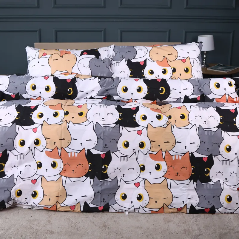 Комплект постельного белья Ranforce Elite TEENAGER 17-0769 Funny Cat