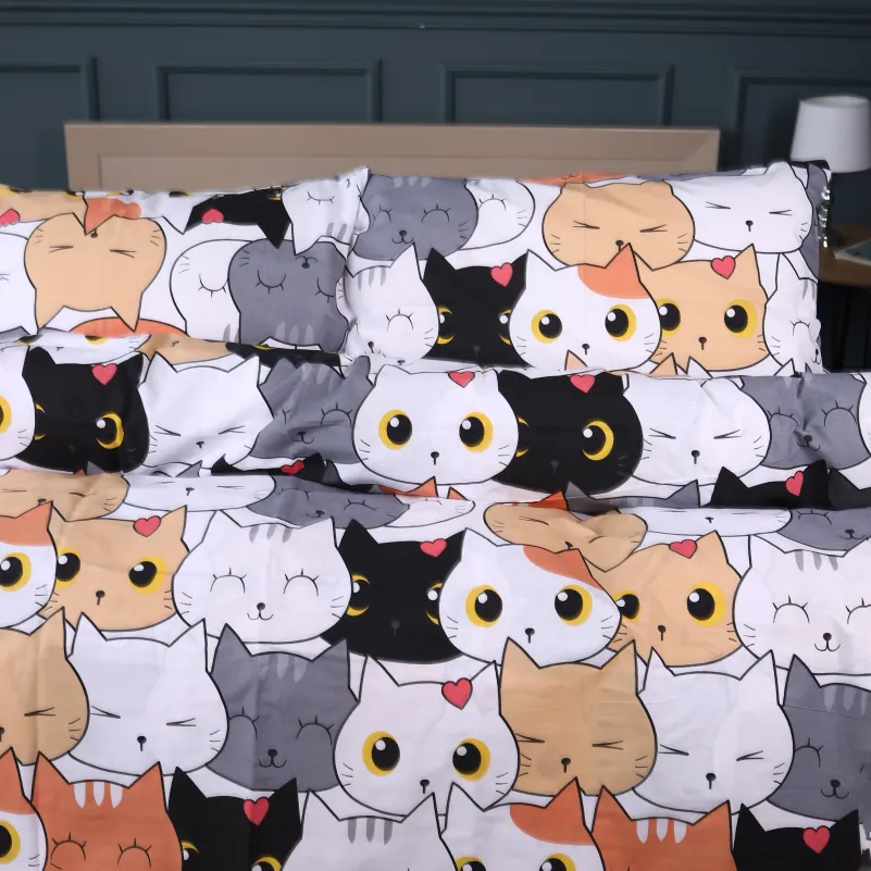 Комплект постельного белья Ranforce Elite TEENAGER 17-0769 Funny Cat - 1