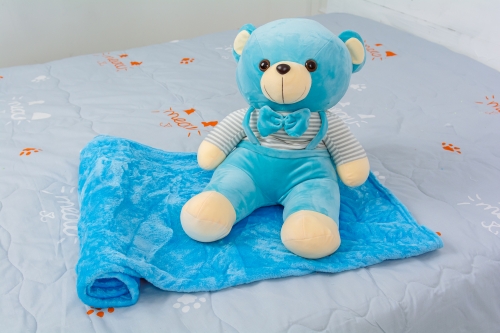 Плед+подушка дитячі №1052 Bear Blue
