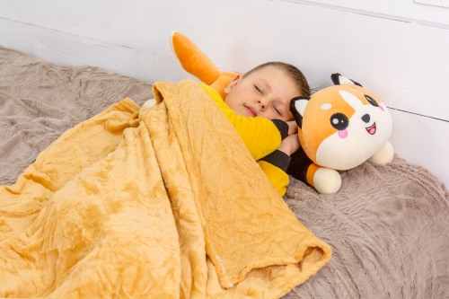 Плед+подушка детские №1072 Cat Orange