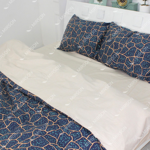 Комплект постельного белья Сатин 22-1234 Colchester