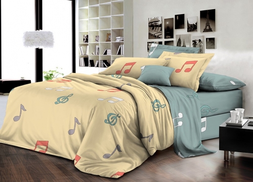 Комплект постельного белья Бязь 17-0421 Music