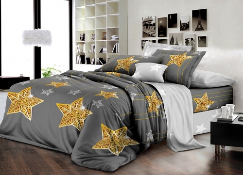 Комплект постельного белья Бязь 17-0422 Golden Star