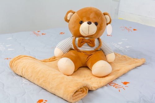 Плед+подушка дитячі №1051 Bear Brown
