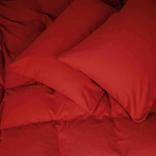 Комплект постільної білизни Фланель 009 "Red"