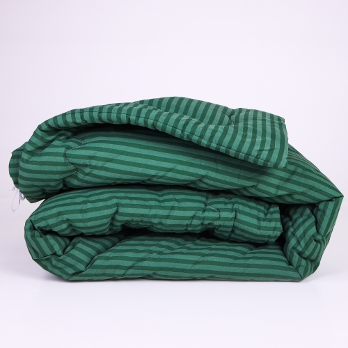 Одеяло антиаллергенное №115 Сolor Fun Line 17-0612 Stripe Emerald EcoSilk (Летнее)