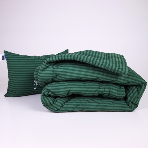 Набор №1004 Сolor Fun Line 17-0612 Stripe Emerald EcoSilk Зима (одеяло + подушка средняя)