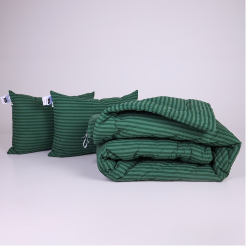 Набор №1005 Сolor Fun Line 17-0612 Stripe Emerald EcoSilk Зима (одеяло + 2 подушки средние)