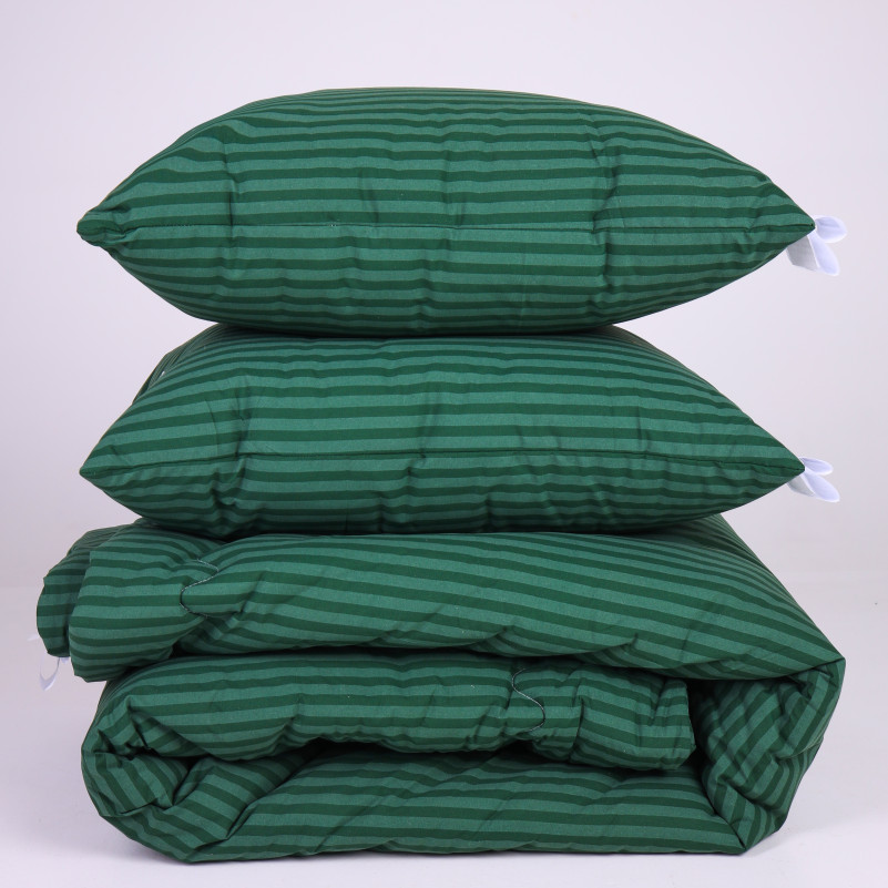 Набір №1012 Сolor Fun Line 17-0612 Stripe Emerald Thinsulate Літо (ковдра + 2 подушки середні) - 3