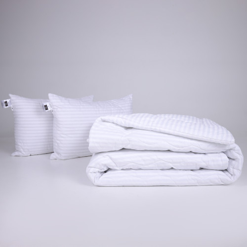 Набор №1111 Сolor Fun Line 17-0605 Stripe White EcoSilk Зима (одеяло + 2 подушки средние)