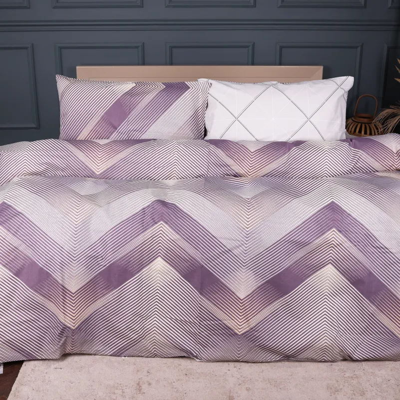 Комплект постельного белья Ranforce Elite 17-0939 Urban Prism