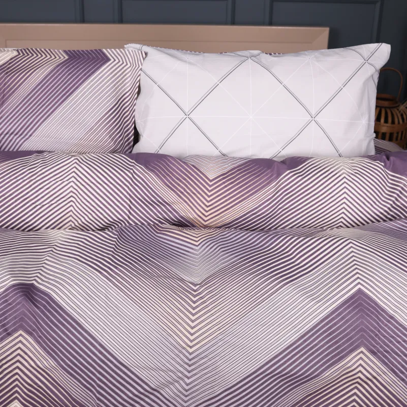 Комплект постельного белья Ranforce Elite 17-0939 Urban Prism - 1