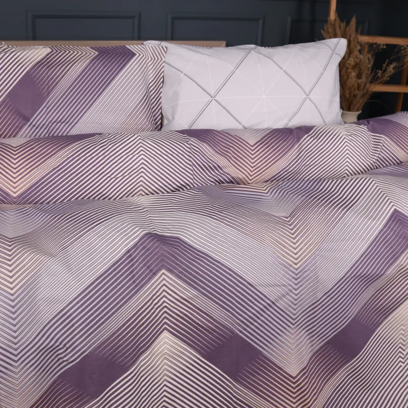 Комплект постельного белья Ranforce Elite 17-0939 Urban Prism - 2